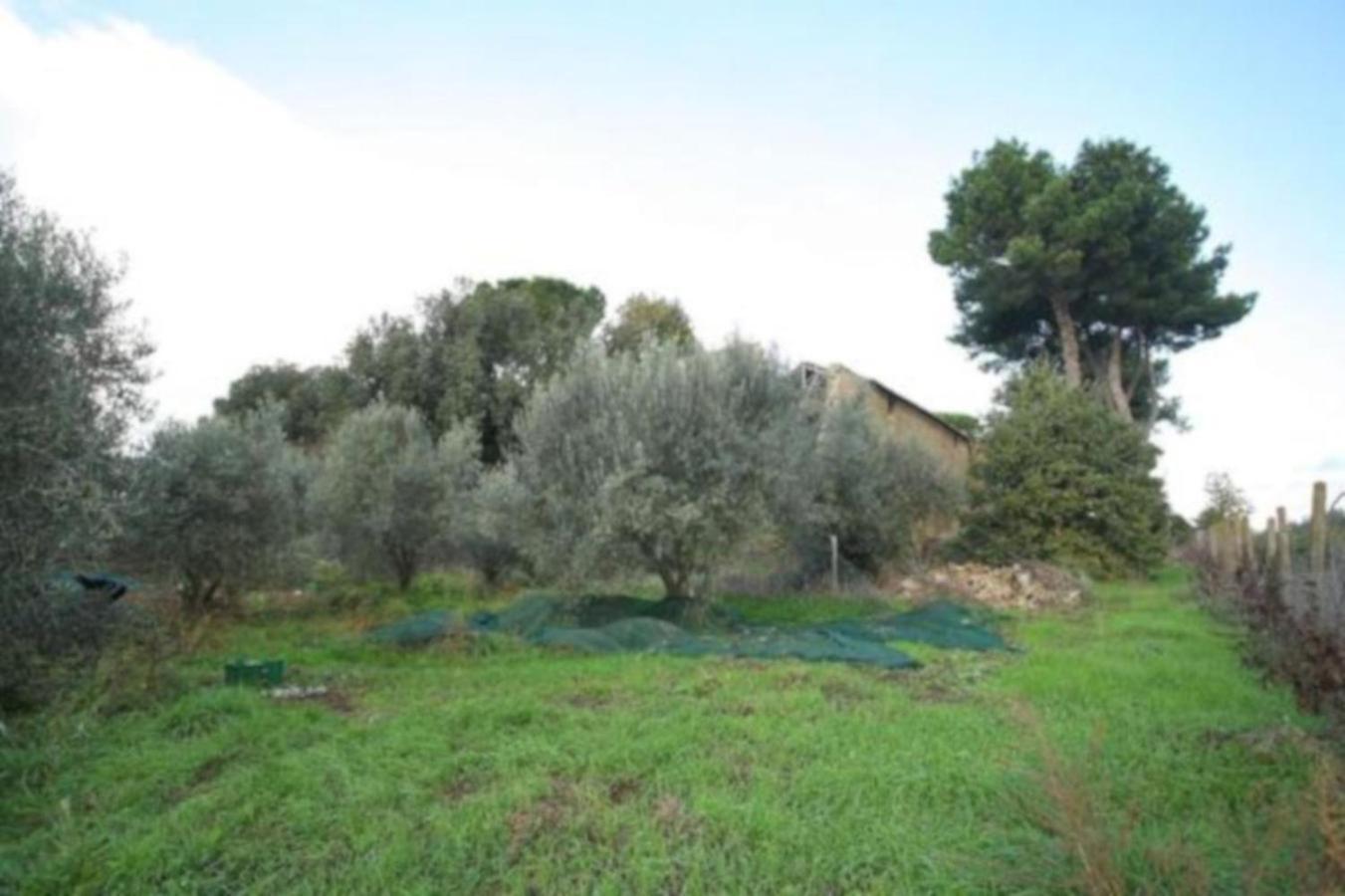 Antico Borgo La Commenda Aparthotel Montefiascone Buitenkant foto